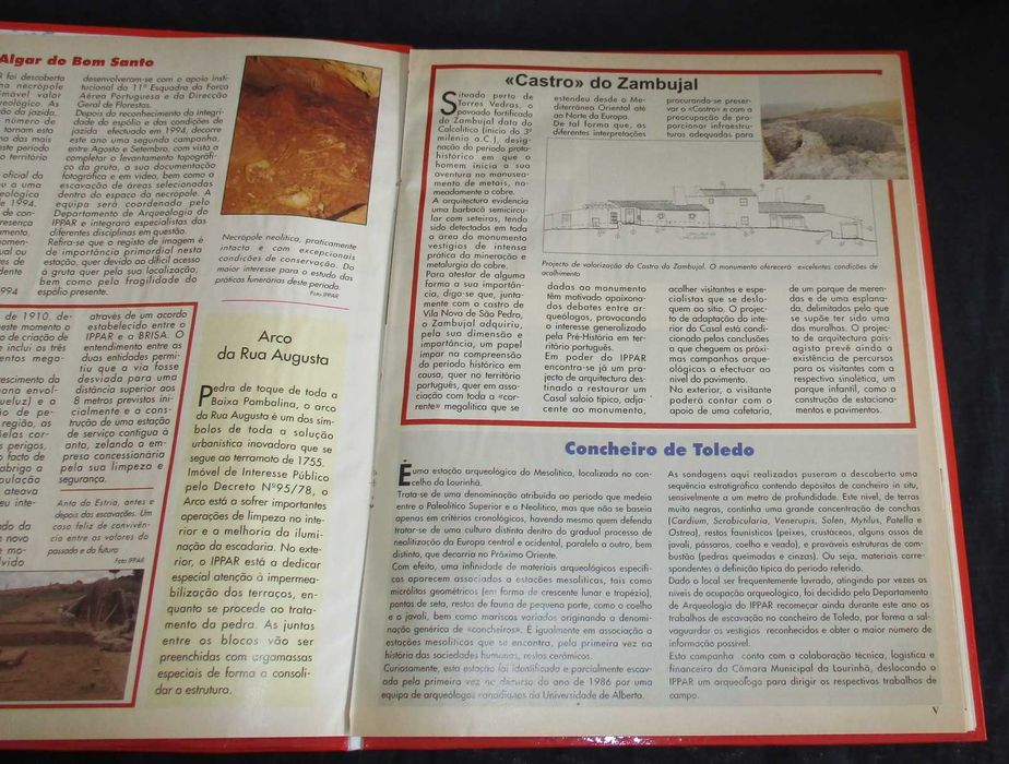 Livro Intervenções no Património Chiado Consultores Diário de Notícias
