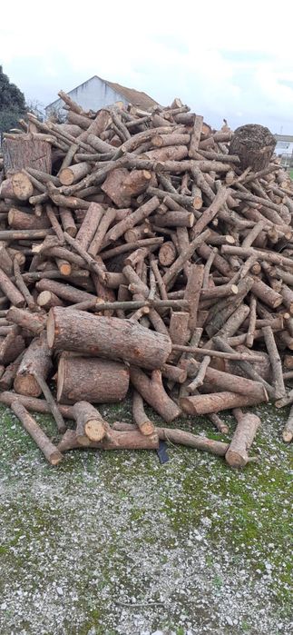 Lenha de pinho para fogão e lareira