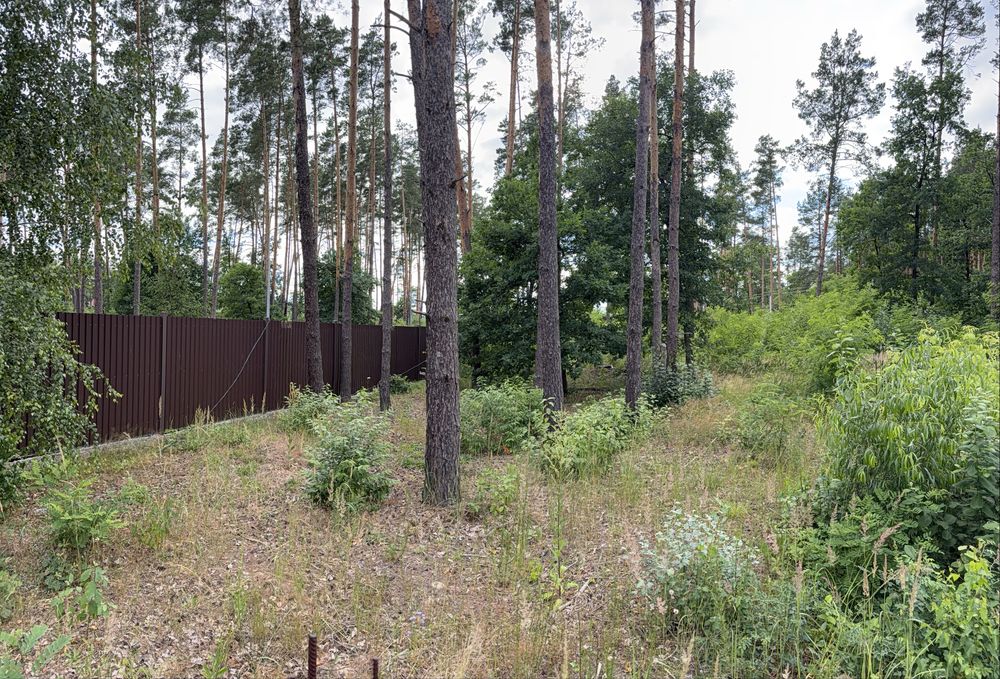 Продаж земельної ділянки 46сот. с.Мощун(Бучанський район)від власника