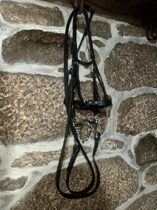 Arreios para cavalos