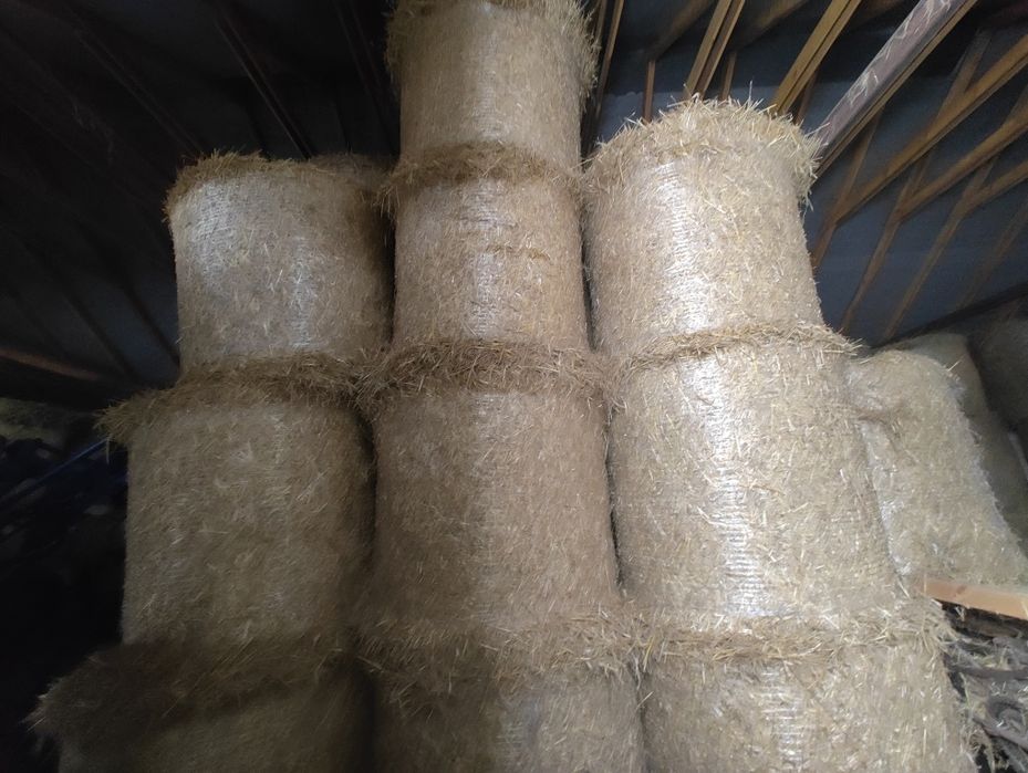 Sprzedam słome z przemocy i przenżyta