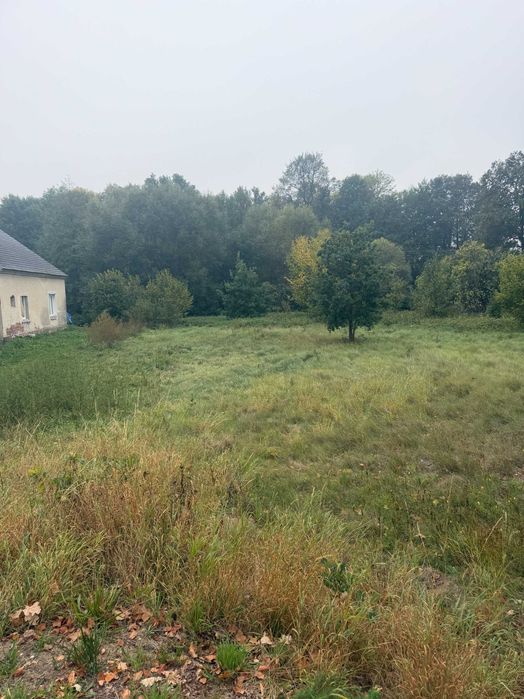 Działka na sprzedaż – Studzieniec, gmina Kożuchów
