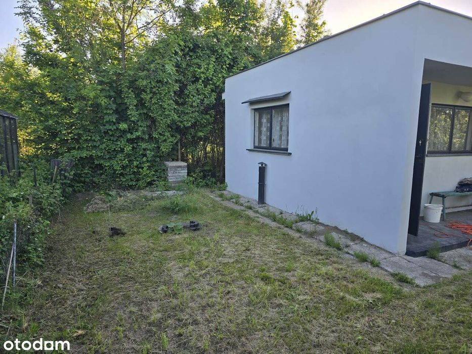 Zadbana działka ROD Wapieniczanka | Murowany domek, Taras, Piwnica B-B - Widok 6