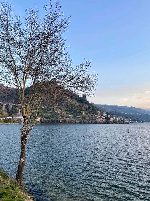 Moradia T3 com Vista Rio Douro | 3-Bedroom House with River Views
