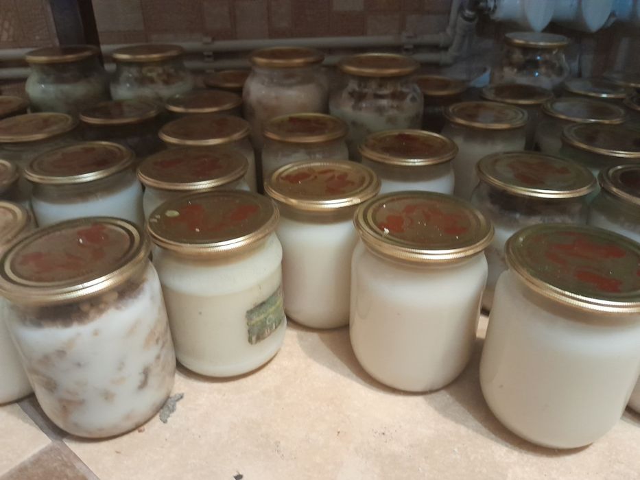 Сало свіжосолене,органічне, смалець,жир топлений