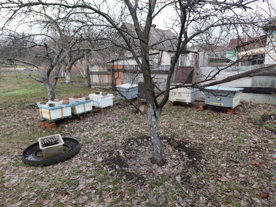 Улики из пенополистирола, ульи пенополистироля, и деревянные вулики