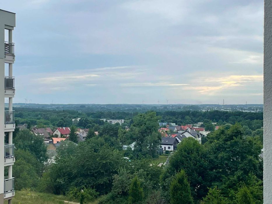 Zdjęcie 8