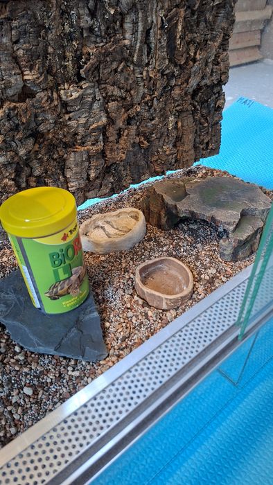 Terrarium dla żółwia