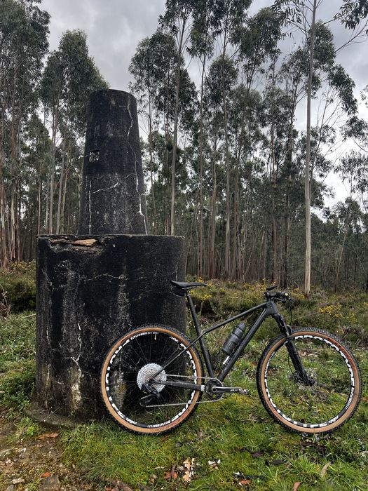 Bicicleta BTT 29 carbono Canyon Exceed CF SL | Rodas Prototype | XT