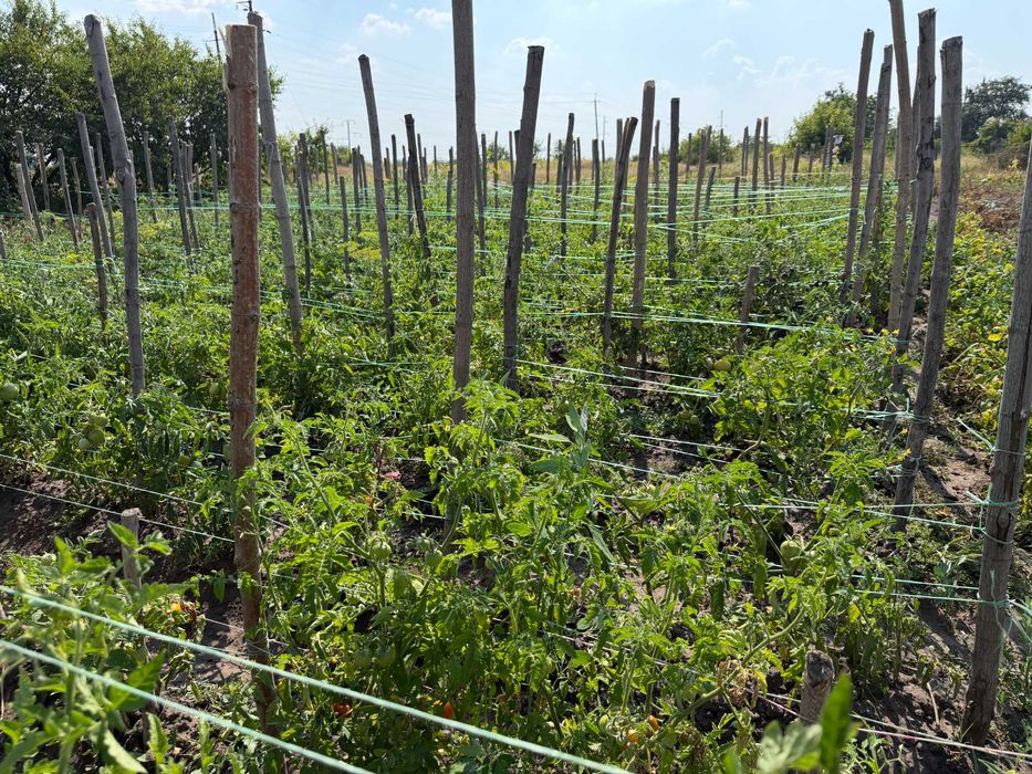 Продаж капітального будинку в м. Яготин