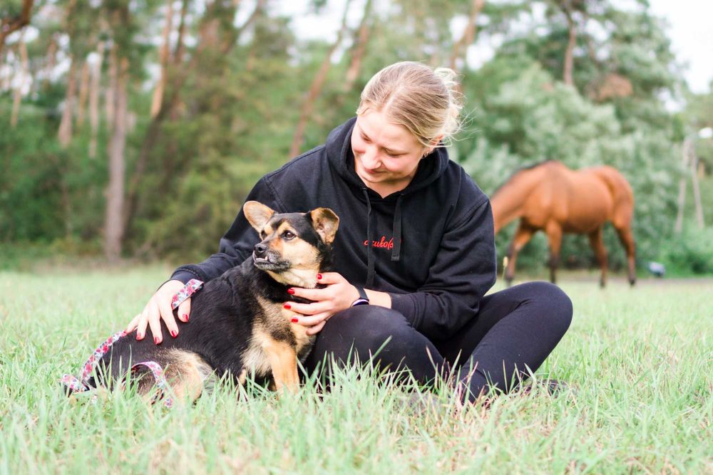 4 letni Szkrabek szuka domu!
