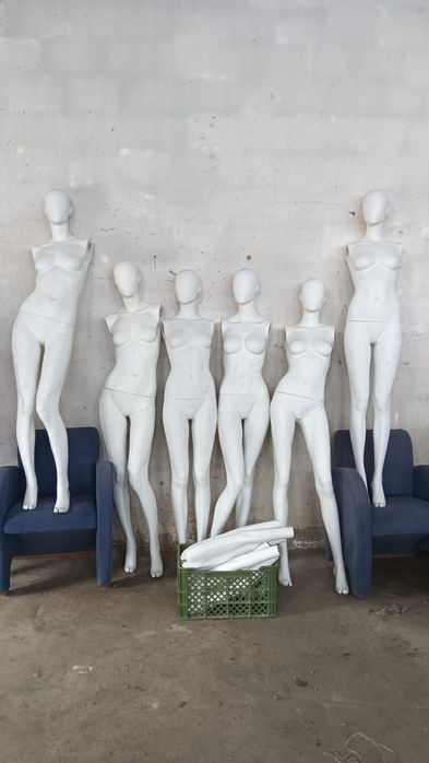 Manequins professionais femininos