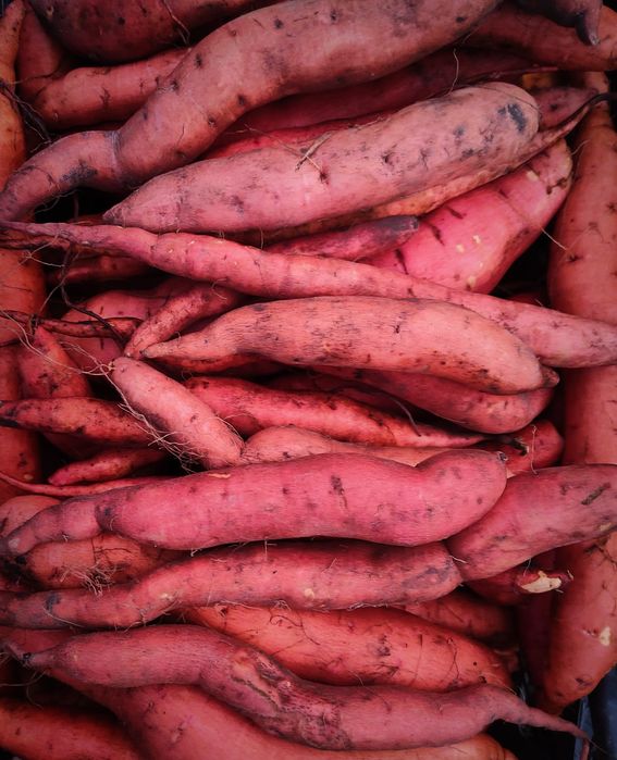 Продается экологически чистый батат