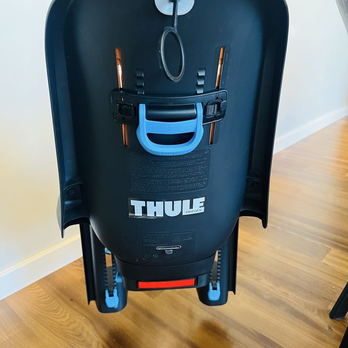 Thule Ridealong.
