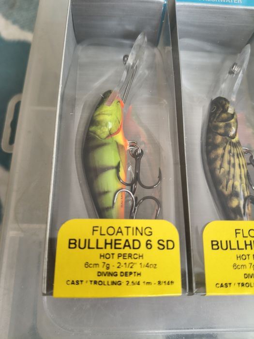 Salmo Bullhead Minnow