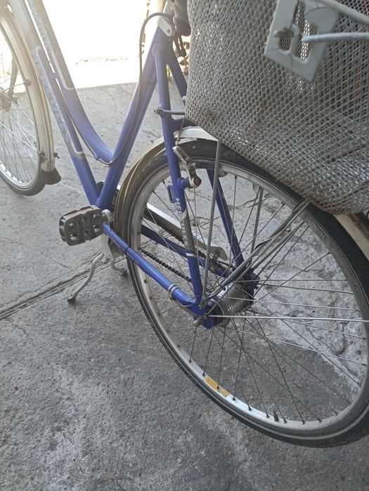 Rower damski herkules