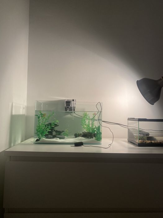 vendo aquario 28 litros com plantas incluidas e esconderijos / decoracao