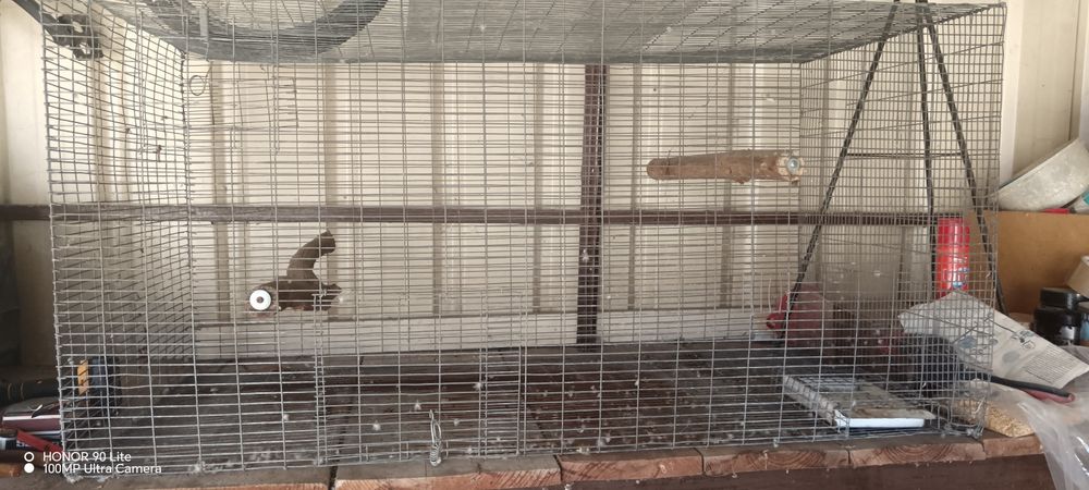 Voadeira para aves