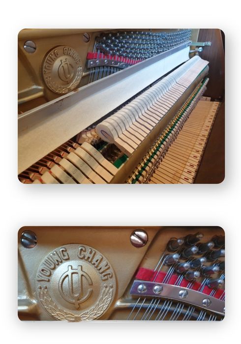 Piano Young Chang