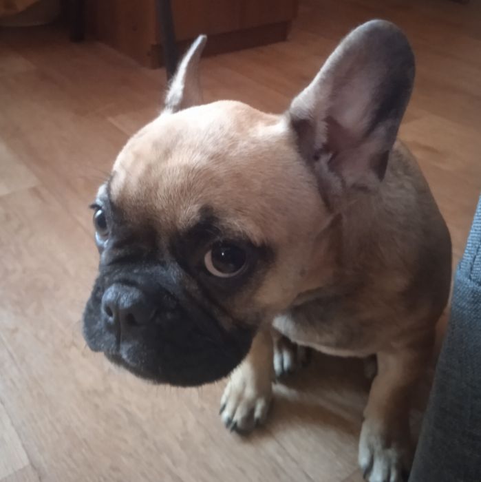 Дівчинка Нюша чукає родину