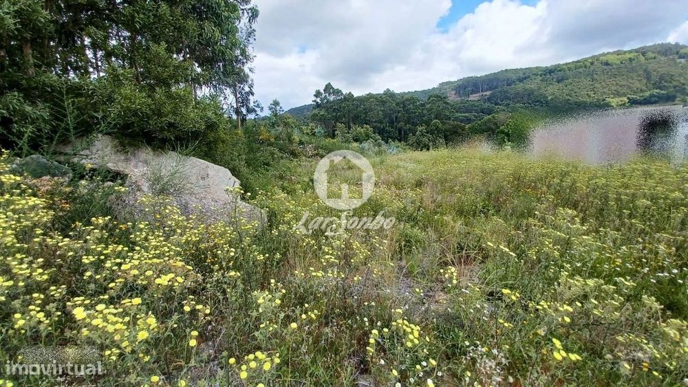 Terreno Urbano de 4.495m2 em Couto S. Miguel, Sto. Tirso