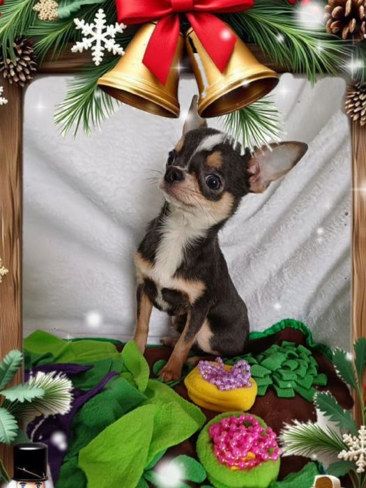 Маленький супер хлопчик