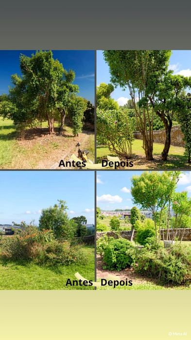 Jardinagem - serviços profissionais