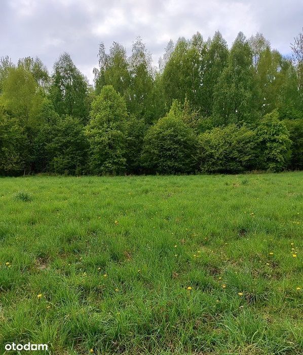 Sprzedam działki budowlane w Gąskach pod Warszawą