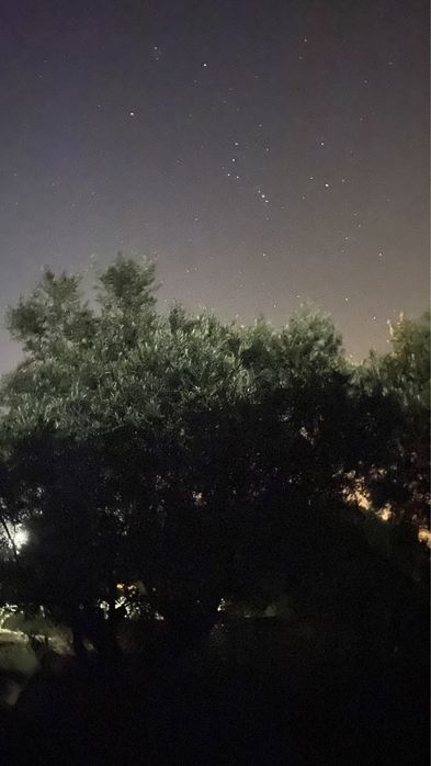 Quarto partilhado em mini-quintinha – c/ animais e horta