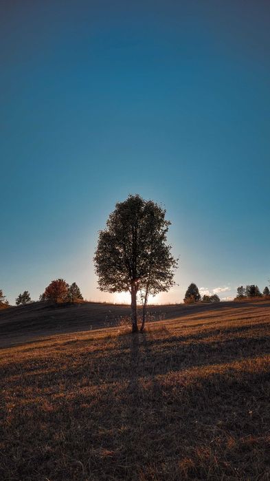 Działka budowlana nad pięknym jeziorem - Mazury, jeziora i odpoczynek nad wodą