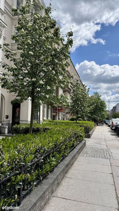 Na sprzedaż 3 pokoje z widokiem na Plac Odrodzenia
