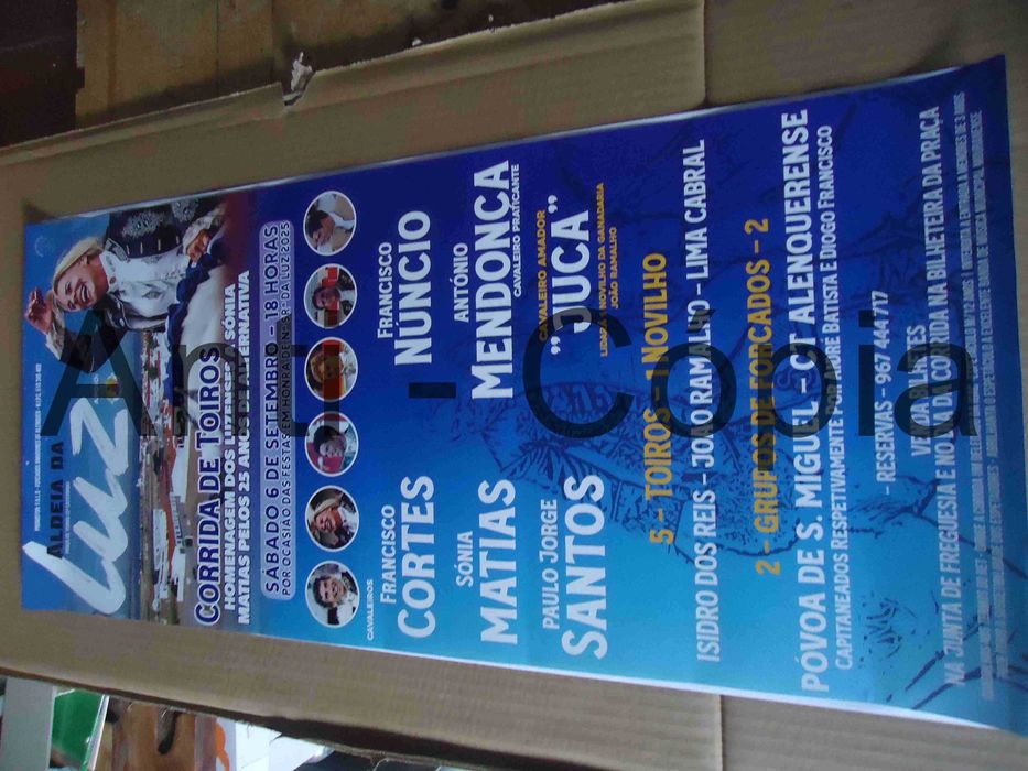 Toiros - Cartazes de Montra 1