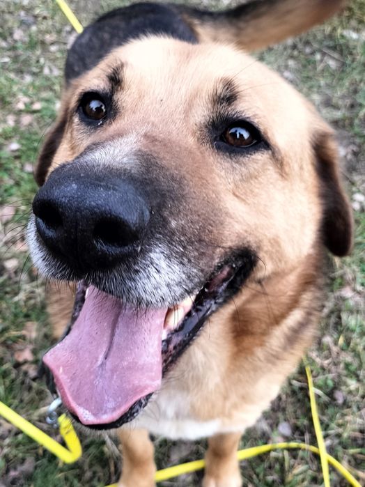 Baron czeka na odpowiedzialnego człowieka