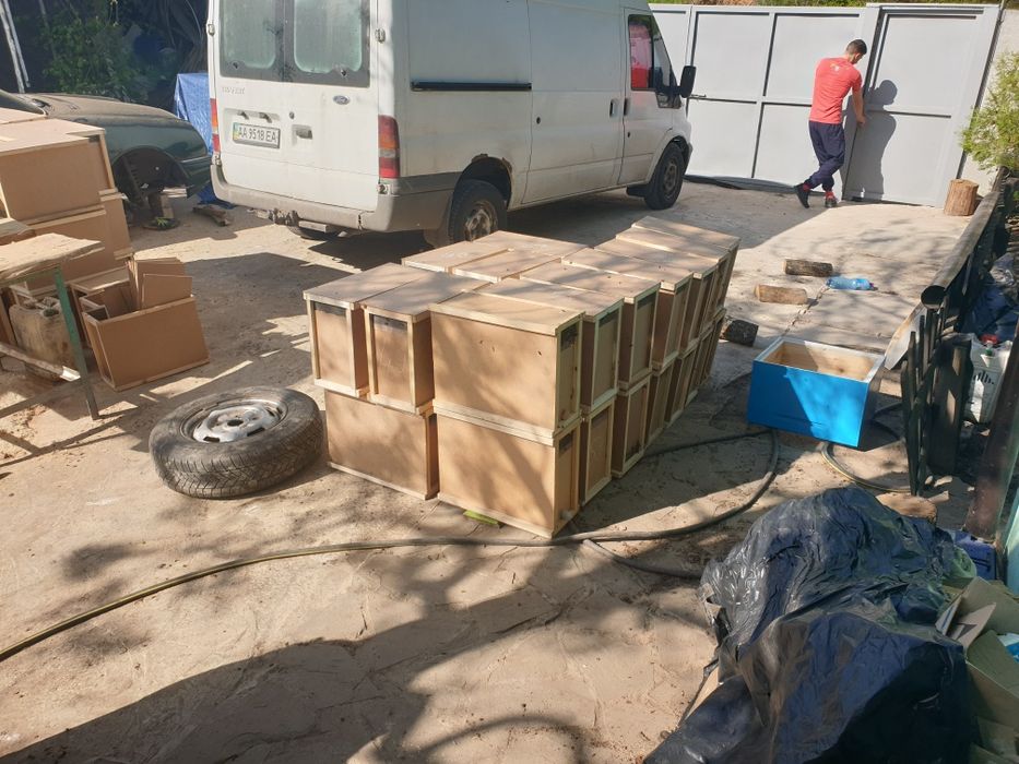 Продаются бджолопакети і бджолосім'ї,доставка.
