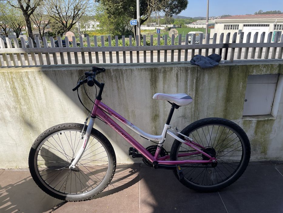 Bicicleta aro 24