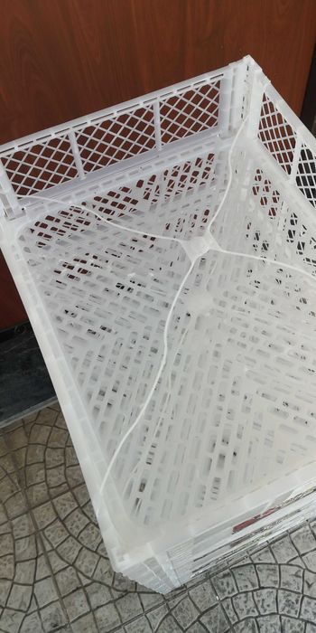 7 caixotes 50,5 cm X 40 cm X 12 cm