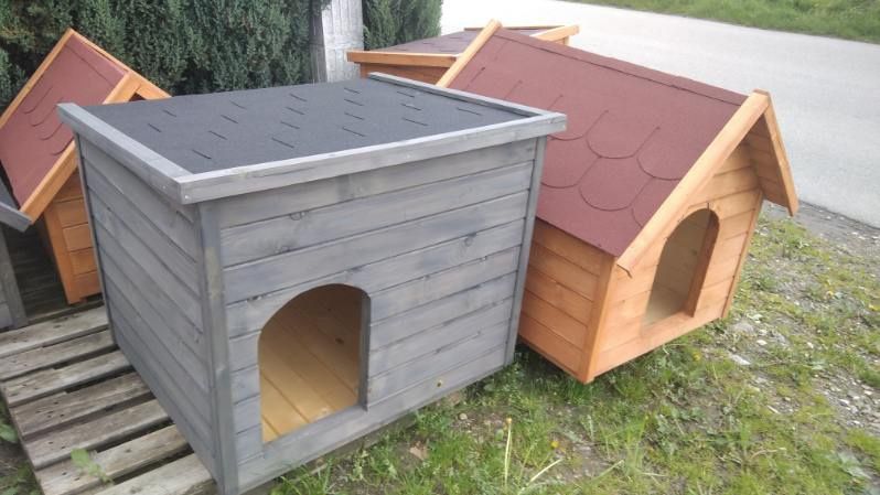 Mega duża buda XxL schronienie dla psa