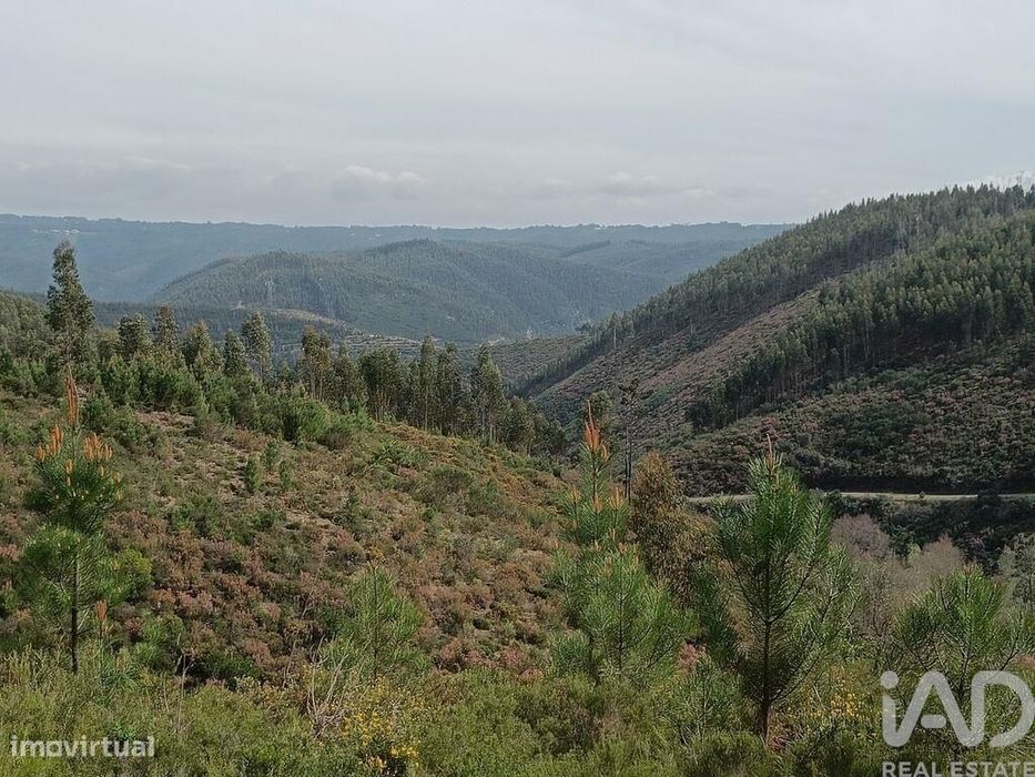Terreno em Graça de 18689,00 m2