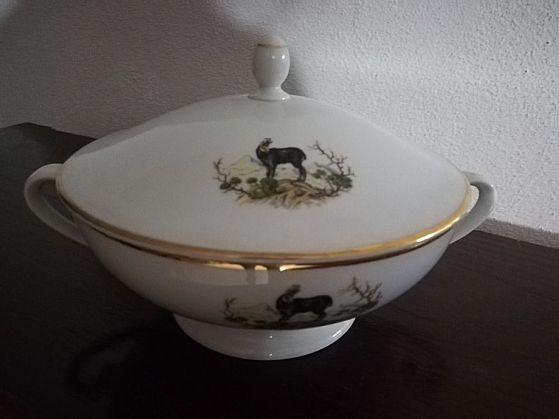 Sopeira Hutschenreuther Tirschenreuth Germany 1838