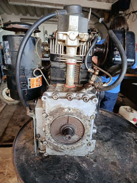 Motor lombardini 6 LD 360
