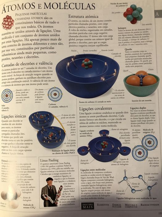 Enciclopedia ilustrada da família.