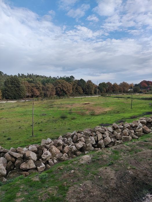 Arrenda-se Terreno Agrícola em Lustosa, Lousada – 22.000 m²
