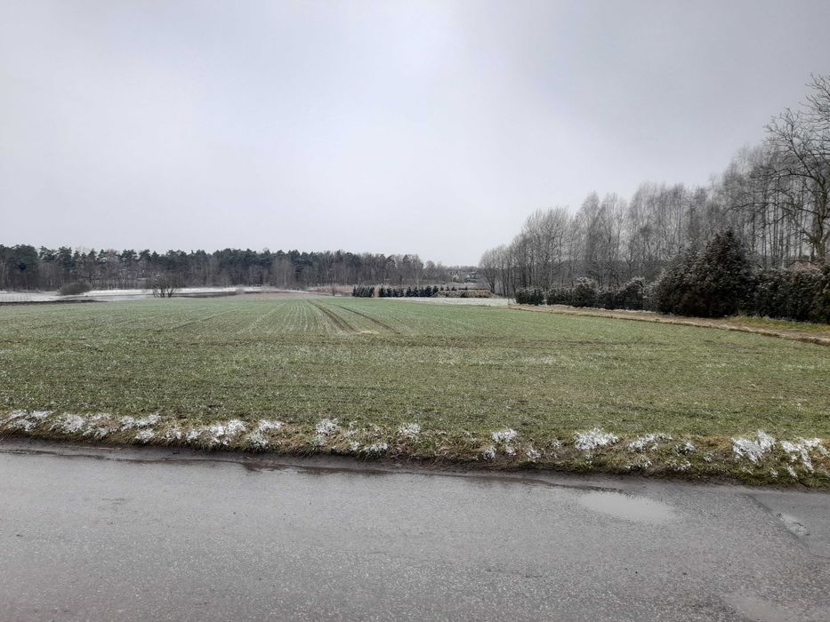 Działka Pole  na sprzedaż 1,5 ha Pszczyna/Czarków  43-211