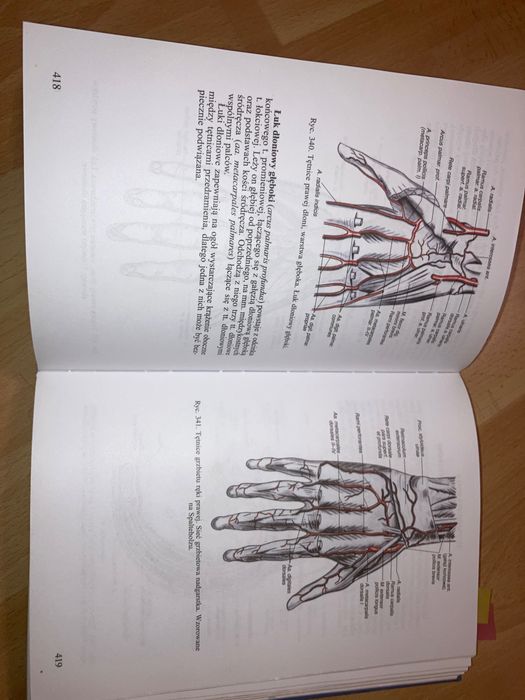Anatomia Człowieka Repetytorium Bochenek, Anatomia Janiny Pituchowej
