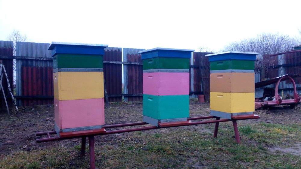 Ule wielkopolskie drewniane jednościenne