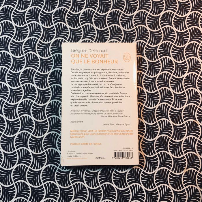 On Ne Voyait Que le Bonheur - Grégoire Delacourt