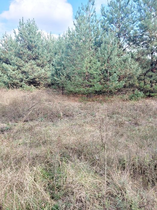 Земельна ділянка, житлова забудова село Пряжів