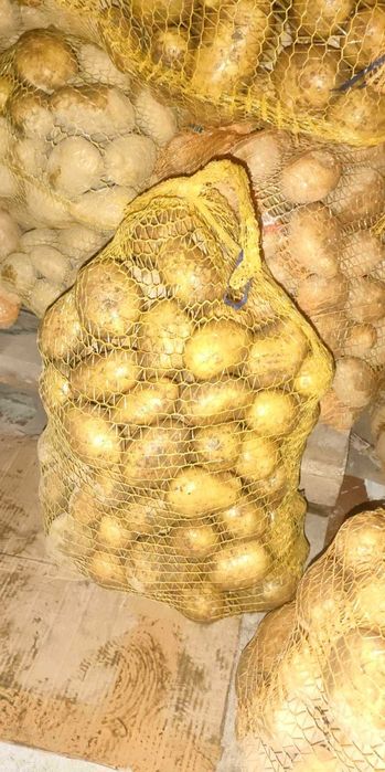 Ziemniaki soraja 15 kg