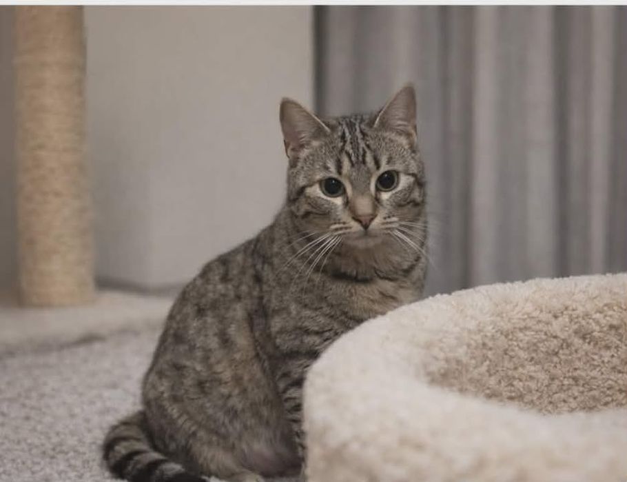 Marzenka – delikatna dusza, która potrzebuje czasu i miłości