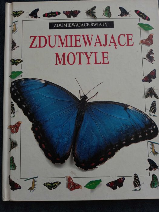 Zdumiewający świat/Zdumiewające motyle